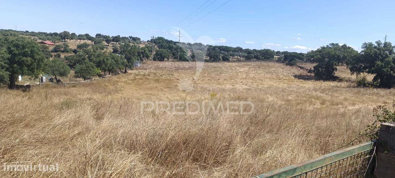Terrenos Rústicos em Montalvão/Nisa - Grande imagem: 5/20