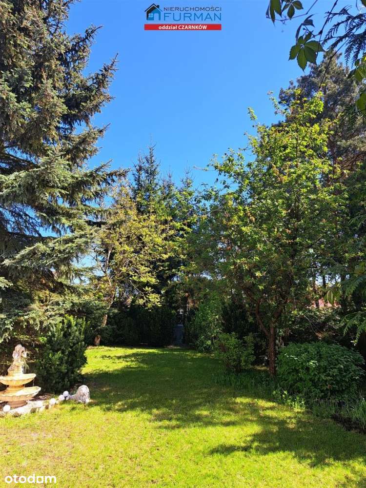 nieruchomość w Miałach gmina Wieleń - Pełny obrazek: 5/15