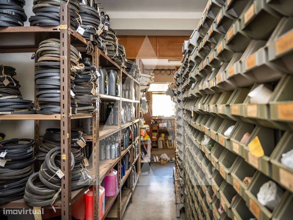 Trespasse em Albergaria-a-Velha-12