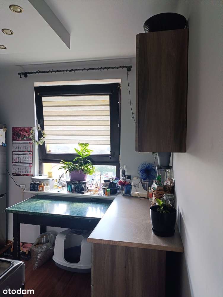 Kawalerka | 30m2 | Borki | Do wprowadzenia | Piękna Panorama - Pełny obrazek: 5/7