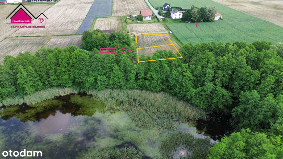 Nowa cena! Działki 1000m2/Dobrosołowo/stawy, - Pełny obrazek: 3/7