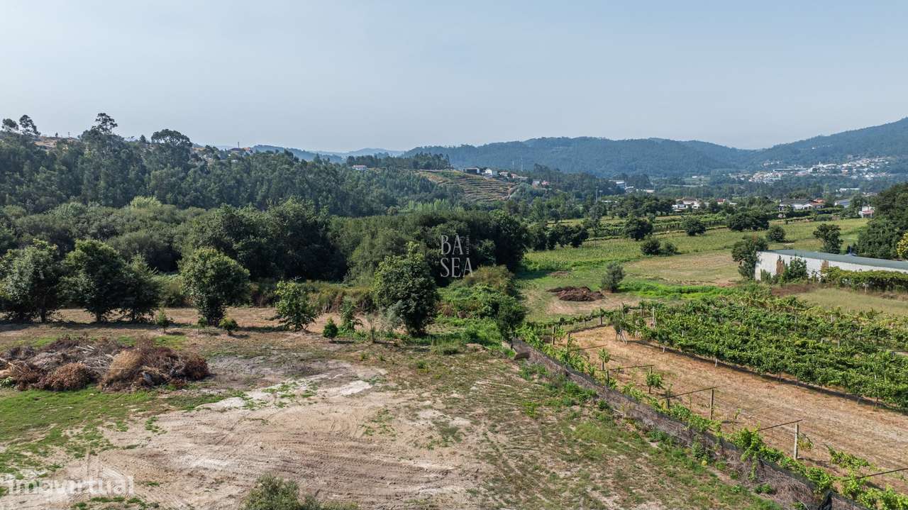 Terreno agrícola com 6044m2 em Semelhe, Braga.-13