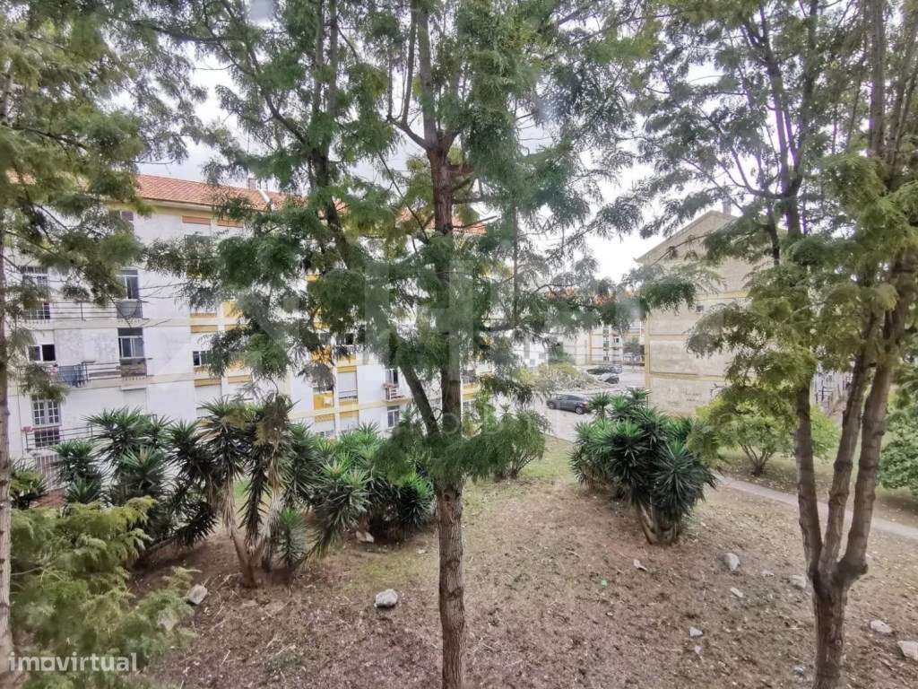 T3 | INVESTIMENTO | NECESSITA REMODELAÇÃO TOTAL-14