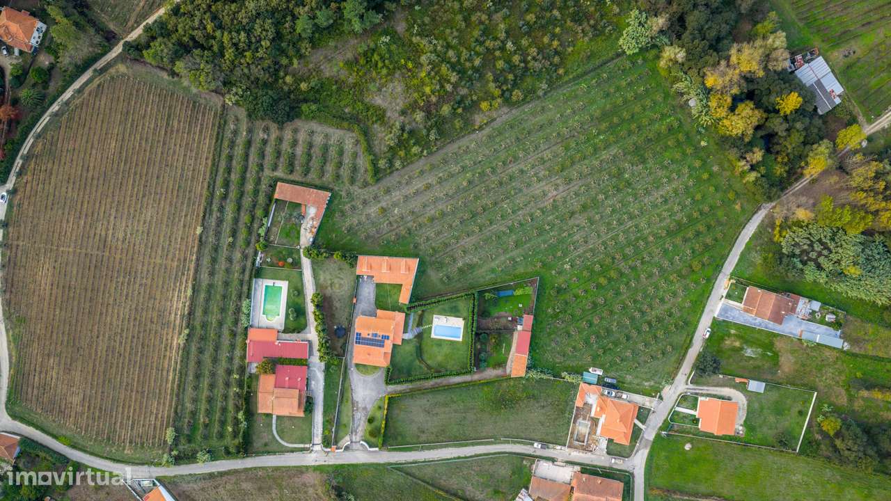 TERRENO– SANGALHOS, ANADIA-7