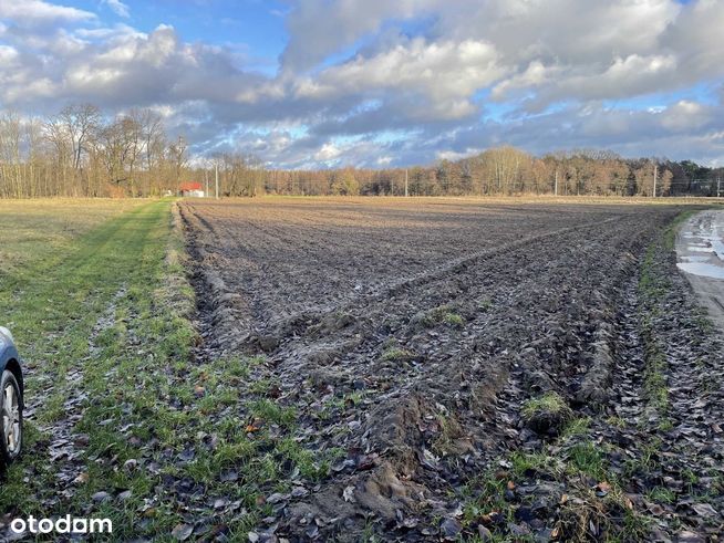 Działka rolna Białobrzegi 14697 m2 przy drodze