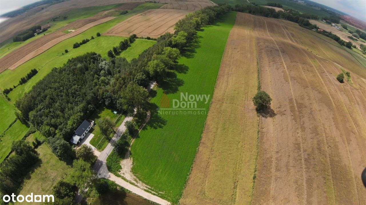 Atrakcyjna Działka Zw Pobliżu Giżycka! - Pełny obrazek: 4/5