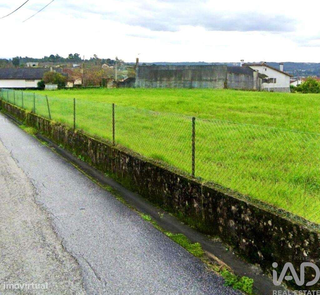 Terreno em Macinhata do Vouga de 5600,00 m2 - Grande imagem: 4/15