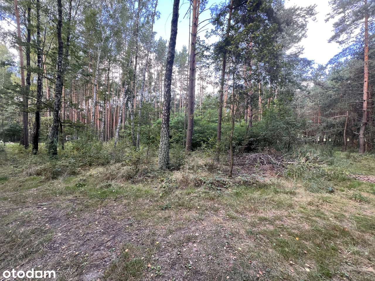 Urokliwa działka z wz na dom całoroczny, Zalew Cieszanowiski-bez % - Pełny obrazek: 5/11