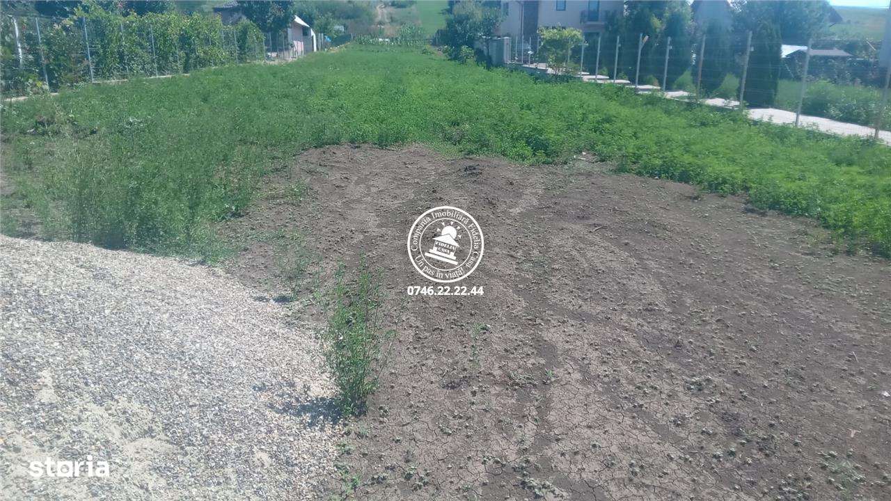 Teren intravilan 4500 mp Bogonos , 2 cai acces , toate utilitatile - Imagine principală: 5/6