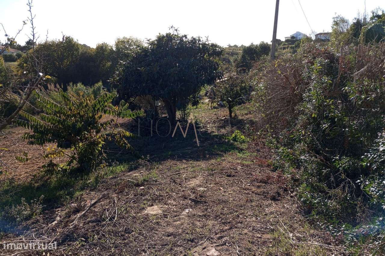 Terreno com 1.121m² na Serra dos Mangues, em São Martinho do Porto-0