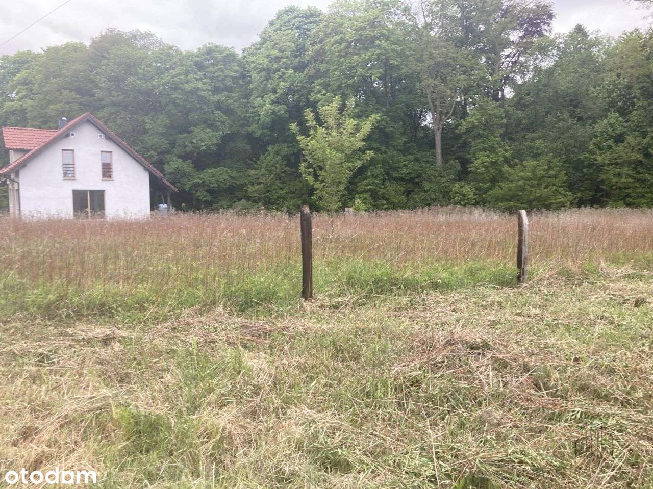 Wisznia Mała piękna działka-1