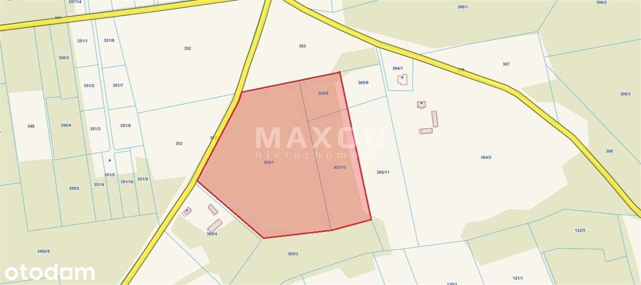 ❗❕ Ciechanowski, Łopacin Działka Leśna 5,6 Ha ❕❗ - Pełny obrazek: 4/7