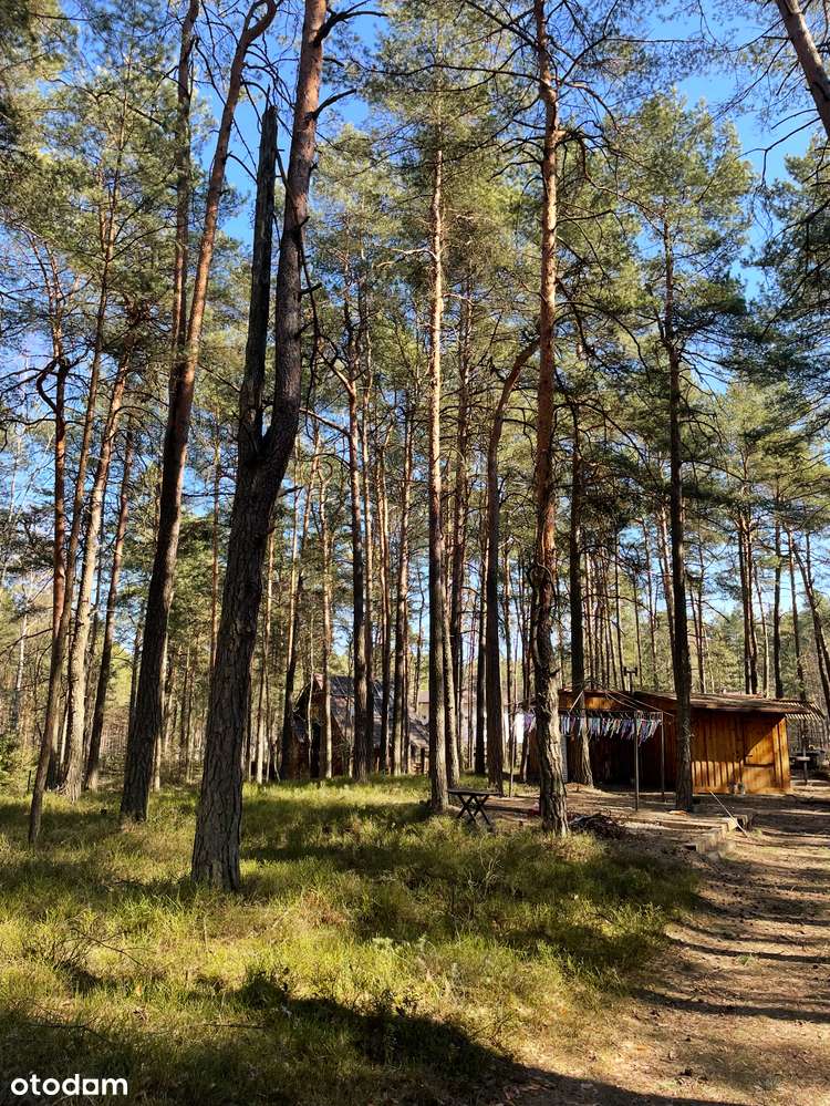 Piękna działka budowlana Żarki Letnisko - Pełny obrazek: 2/4