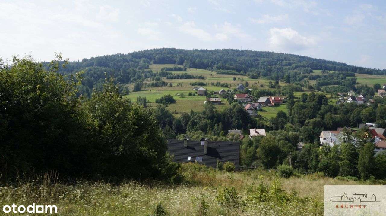 Działka widokowa pod lasem, Tokarnia 10-43 ary - Pełny obrazek: 4/8