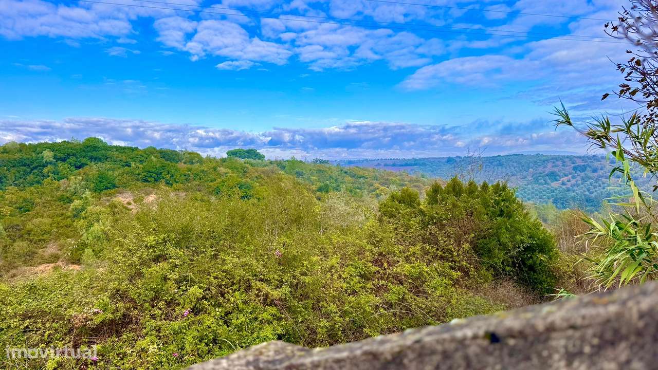 Moradia com 6 assoalhadas - 120 m2 - sótão - espaço exterior - Tremês-32