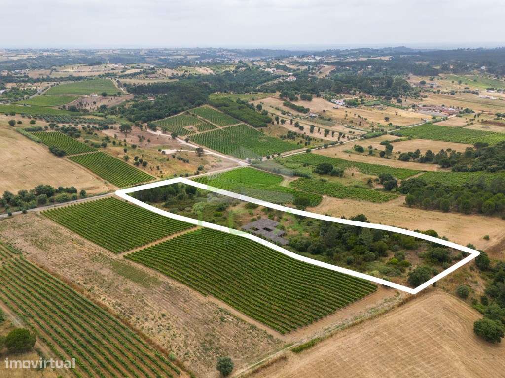 Terreno com 15.840m2 em Aveiras de Cima-14