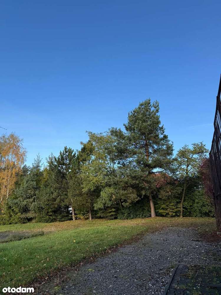 Działka budowlana pod lasem | 44ar | Stary Wiśnicz, pow. bocheński - Pełny obrazek: 4/11