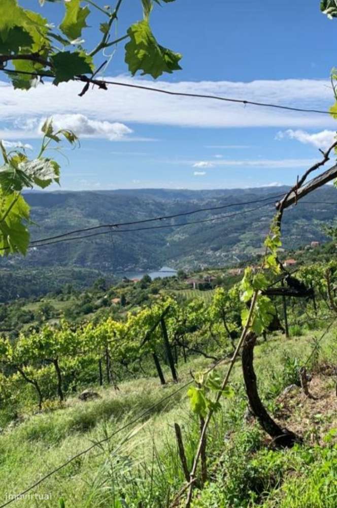 Terreno DOURO c/ projeto e licença! - Grande imagem: 2/7