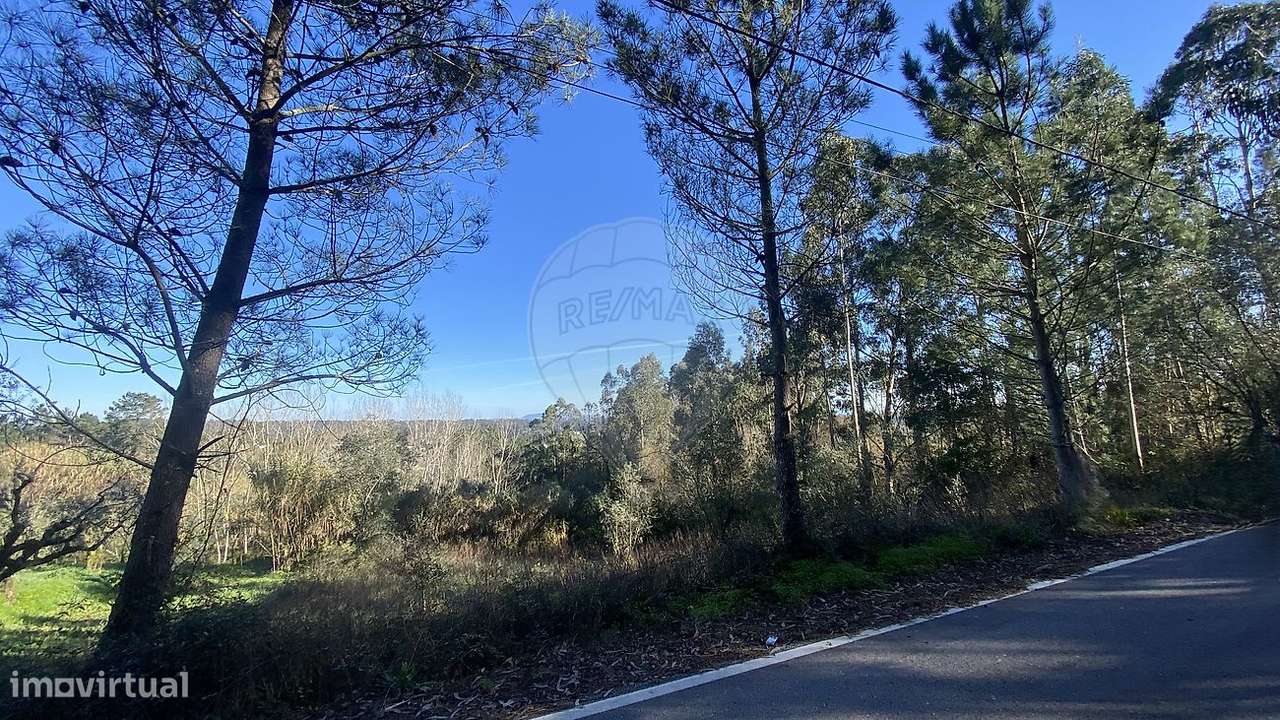 Terreno  para venda - Grande imagem: 5/17