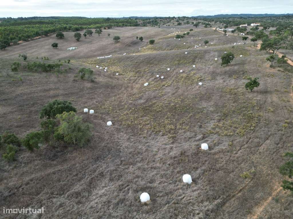 Monte Típico Alentejano para Reabilitar - Santiago do Cacém-23
