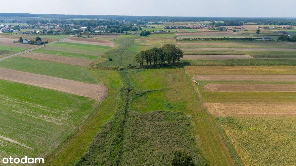 Działka rolna Sieraków Śląski 6792m2 - Pełny obrazek: 5/18