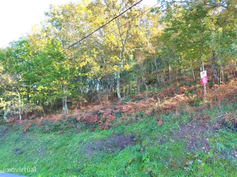 Terreno / Baião, Campelo e Ovil - Grande imagem: 5/5