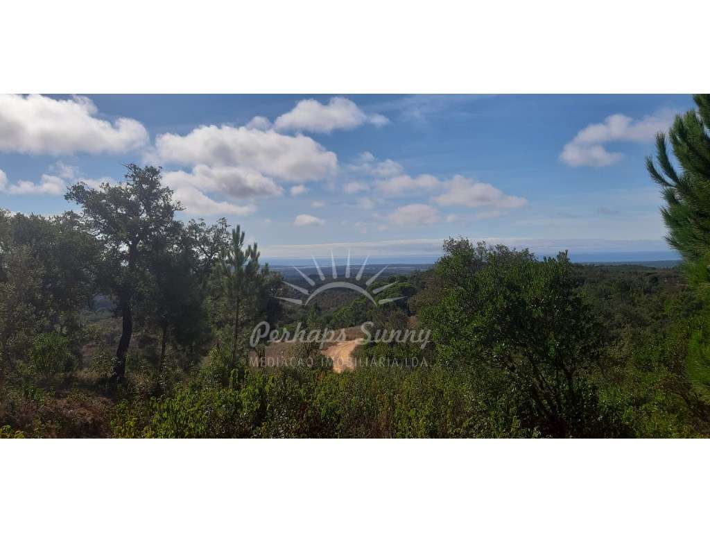 Terreno rústico vista mar - Grande imagem: 3/16