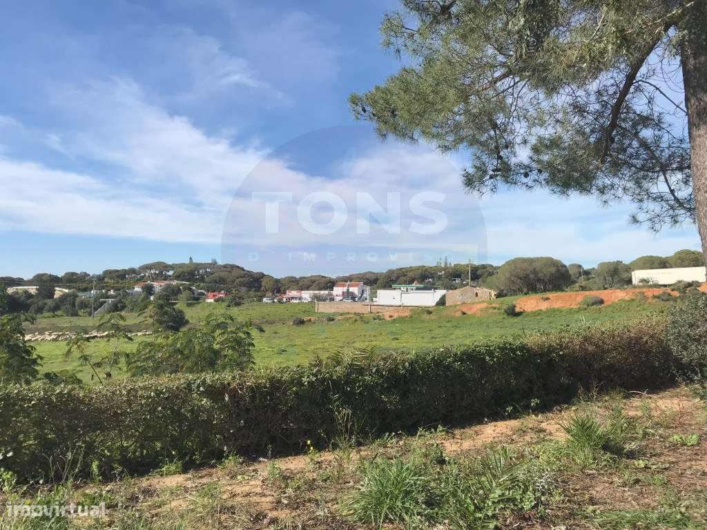 Terreno Rústico com Projeto Aprovado para Moradia Unifamiliar - Por... - Grande imagem: 4/14