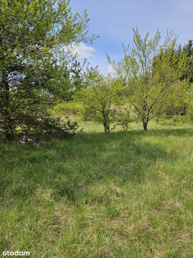 Działka budowalna we wsi Kurki 200 m od jeziora, wydane WZ-13