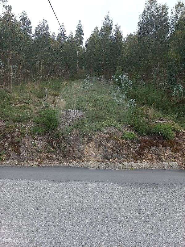 Terreno  para venda - Grande imagem: 5/12