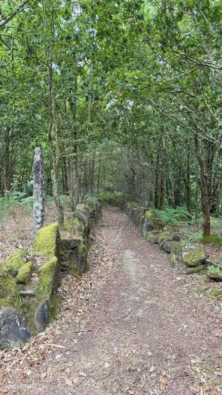 Terreno  para venda - Grande imagem: 4/13