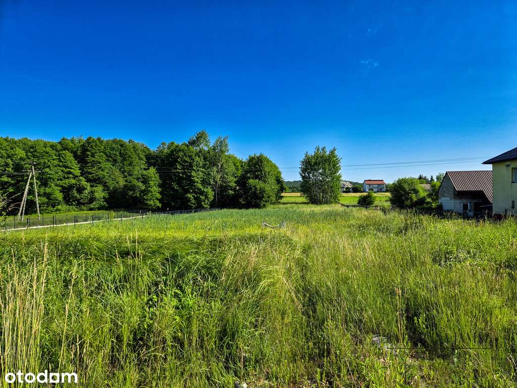 Ogrodzona działka z mediami - 45a - Pełny obrazek: 4/11