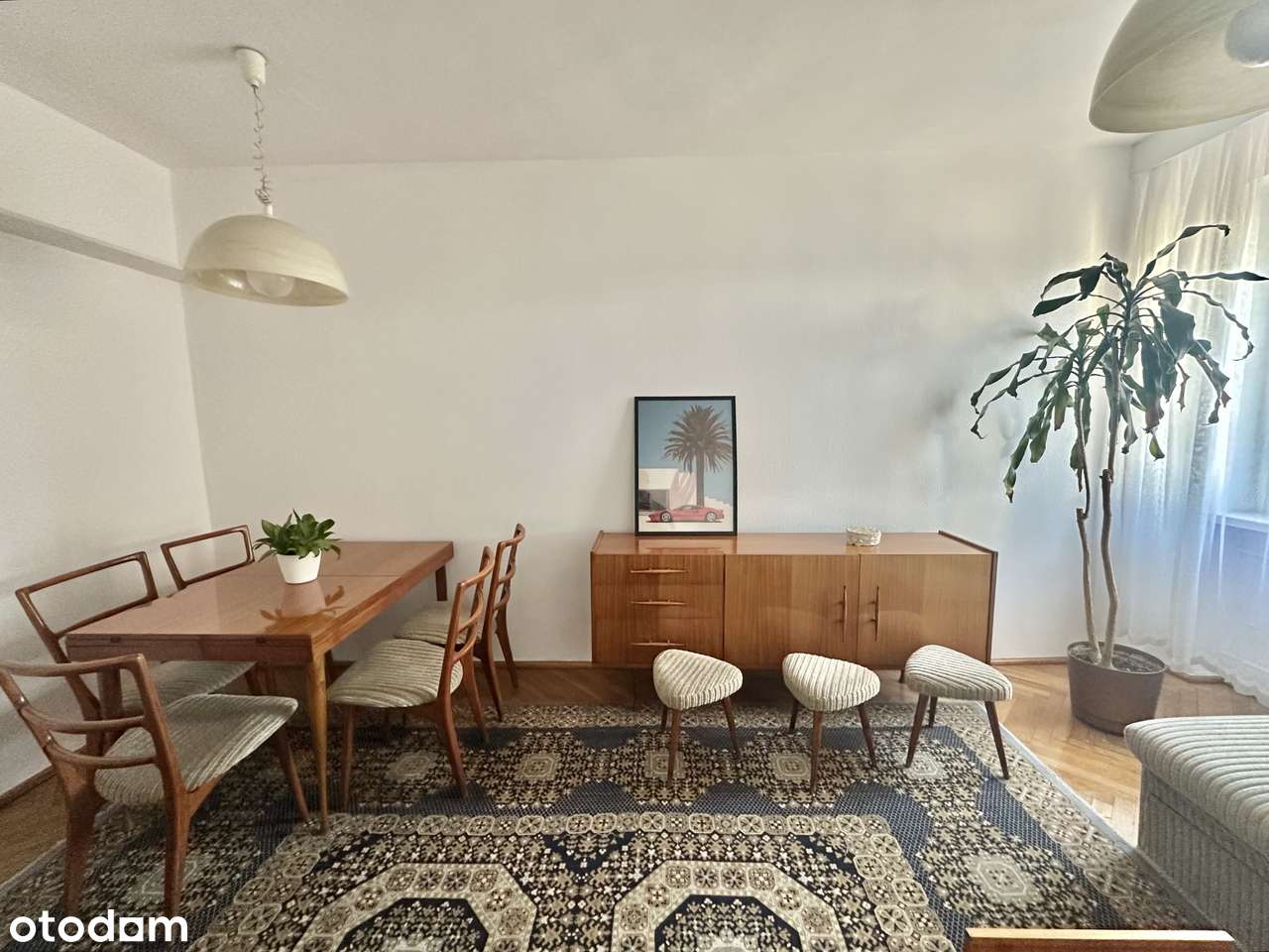 Mieszkanie w centrum Poznania – ul. Ogrodowa 53m2-2