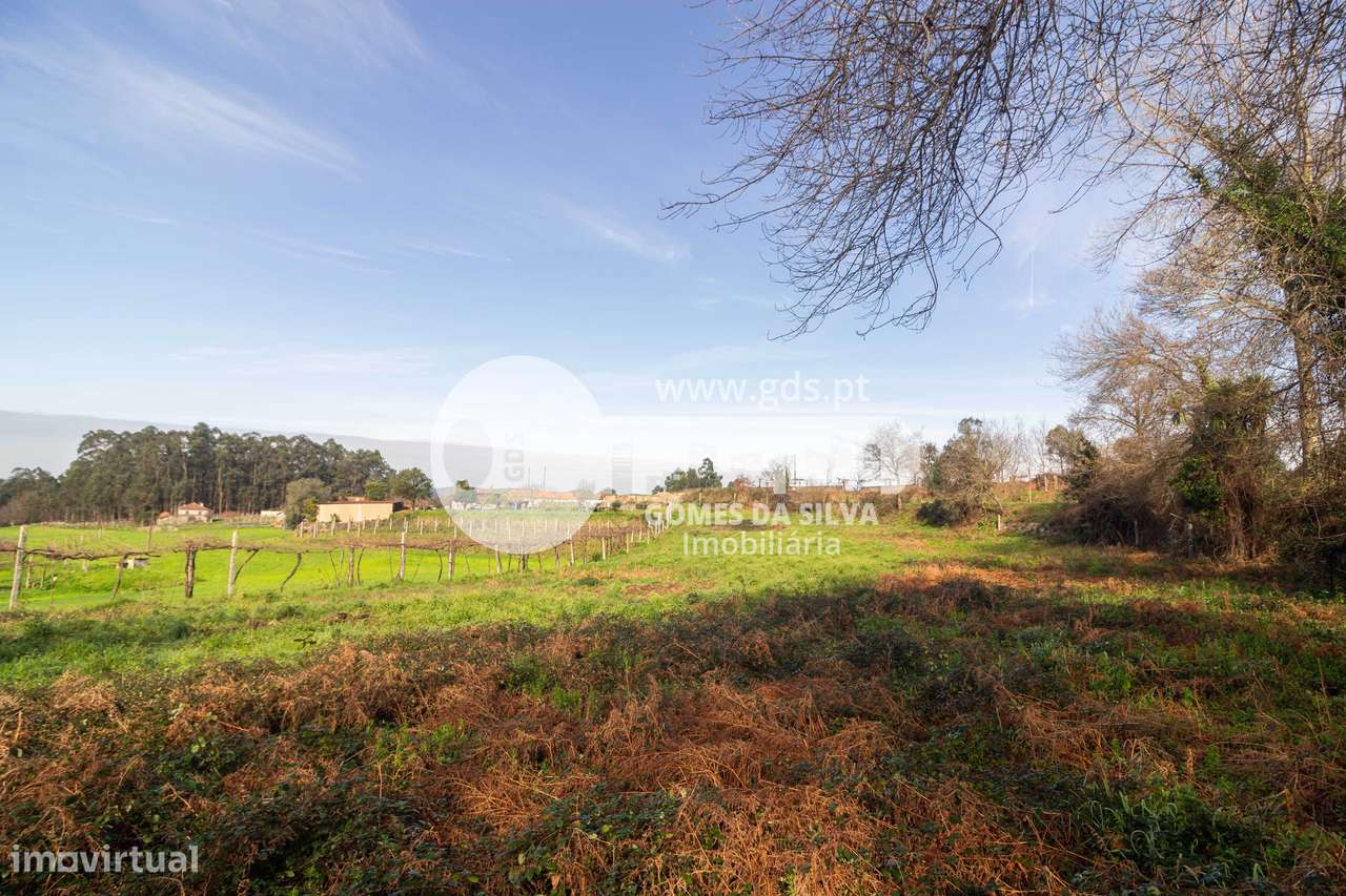 Terreno Agrícola em Vale São Martinho, Vila Nova de Famalicão - Grande imagem: 4/16