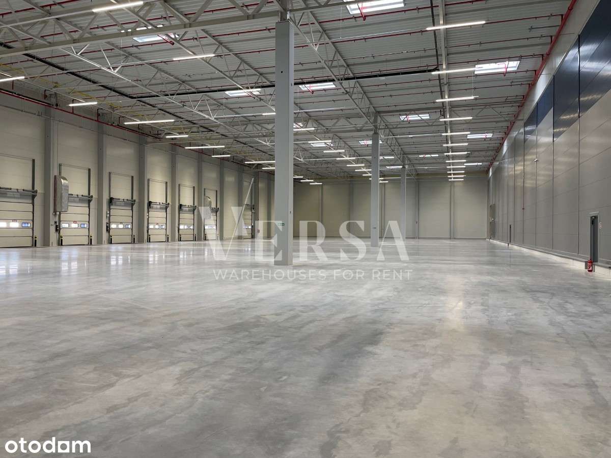 Magazyn 1620 mkw do wynajęcia - 0% Prowizji - Pełny obrazek: 5/9