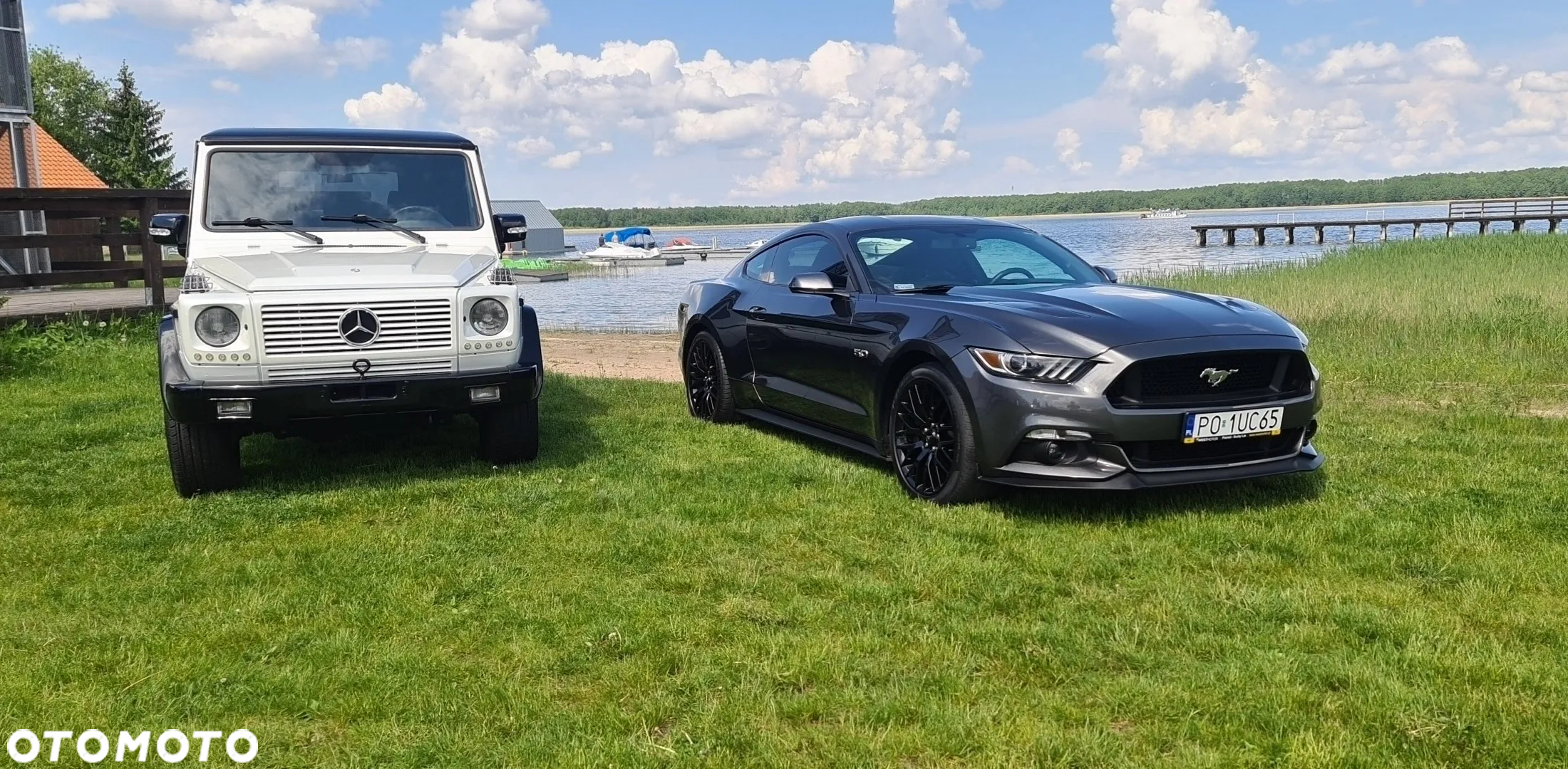 Ford Mustang 5.0 V8 GT - 7