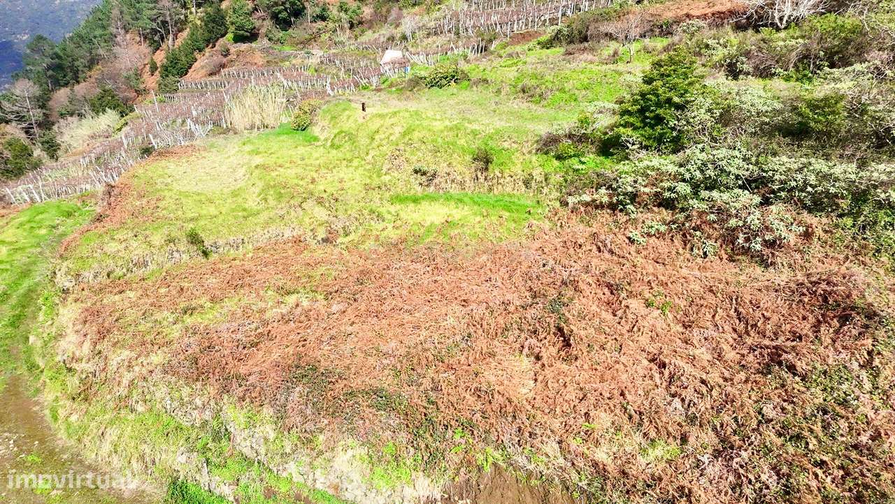 Construa a Sua Casa em São Vicente – Natureza, Tranquilidade e Potenci - Grande imagem: 5/8