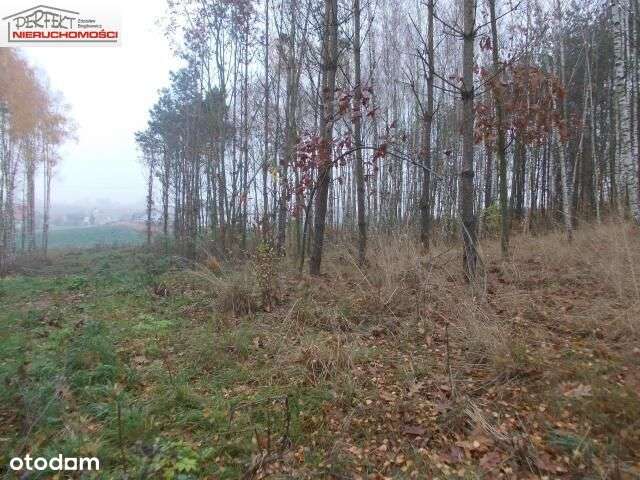 Działka, 1 200 m², Jabłonowo Pomorskie - Pełny obrazek: 4/5