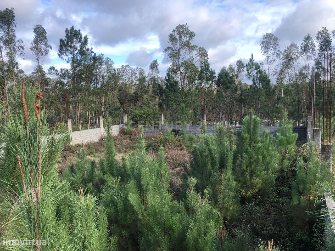 Terreno para Armazém em Carriço, Pombal - 898m² - Grande imagem: 4/12