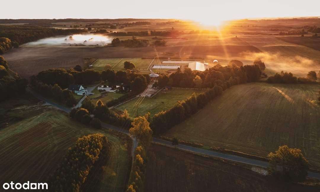 Piękne działki w Tągowiu na Kaszubach - Pełny obrazek: 4/5