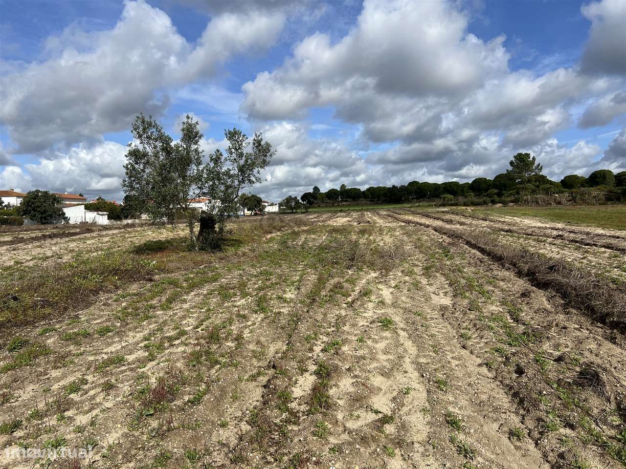 Terreno Para Construção  Venda em Biscainho,Coruche-7
