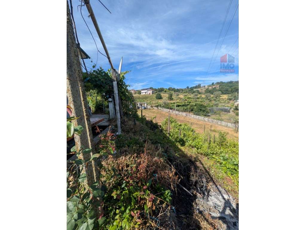 QUINTA COM MORADIA T3 PISCINA TERRENO E ANEXOS-51
