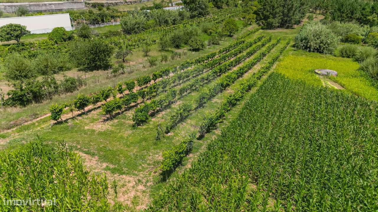 Terreno  para venda - Grande imagem: 4/15