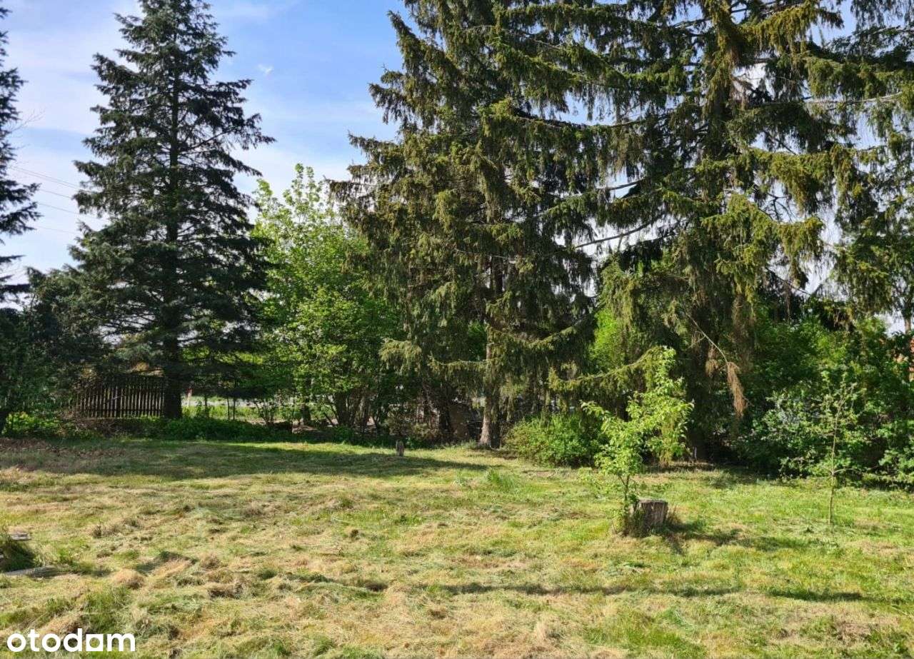 Działka 1280m2, Bukowiec - Pełny obrazek: 4/4