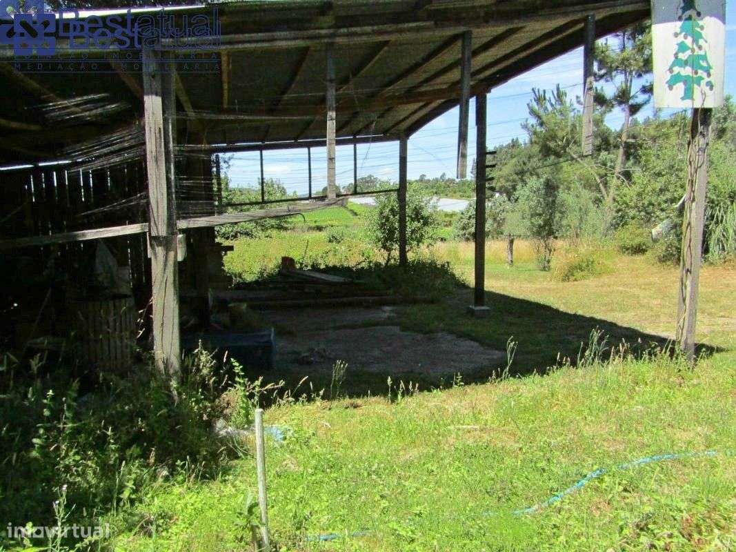 Terreno 4000 m2-c/1500 m2 de área p/construção Moradias-A 3 Min. do-18