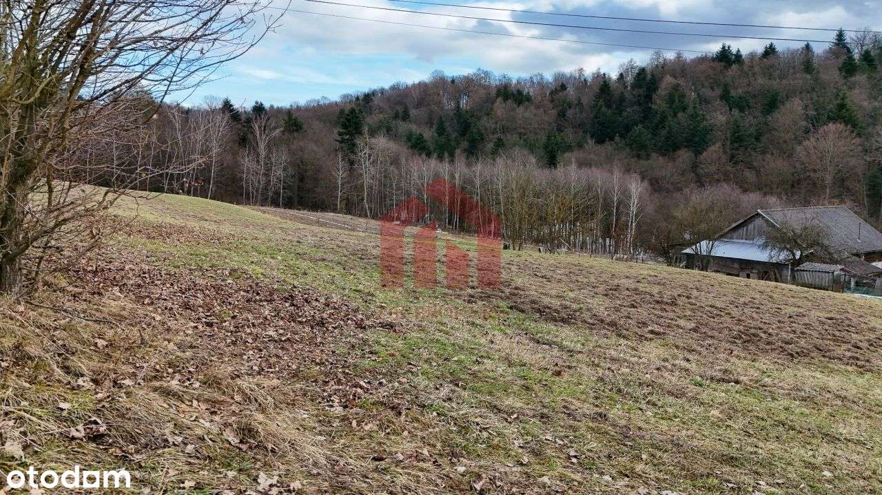 Przy lesie i widokowe działki z Wz, Uzbrojone-2