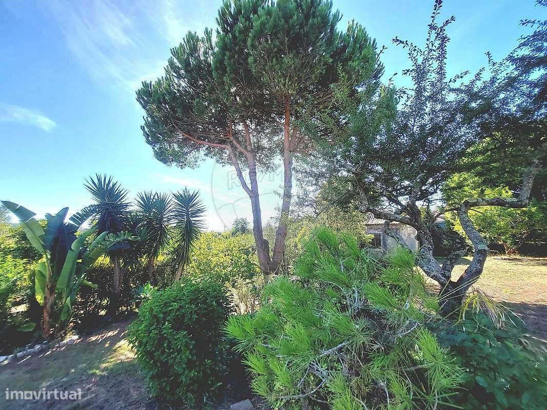 Moradia T3 para venda-6