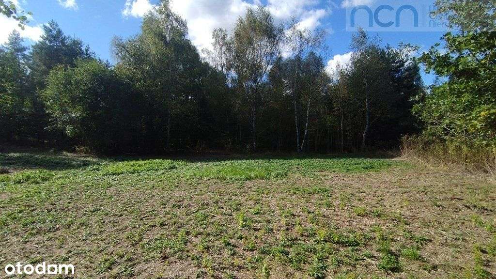 Działka w Kazuniu Bielany.