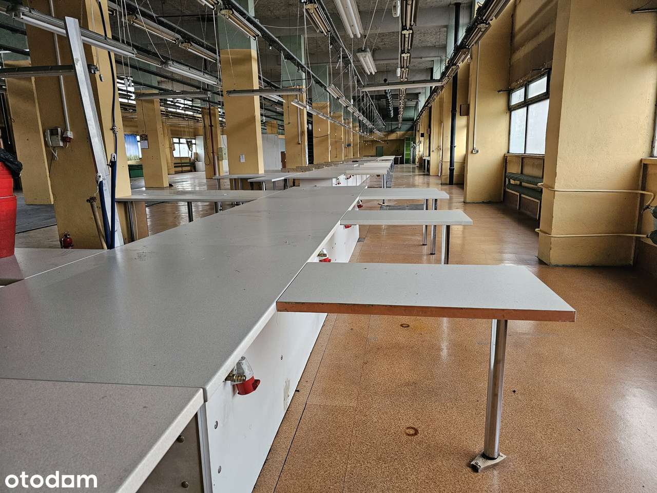 lokal magazyn produkcja - Pełny obrazek: 5/12