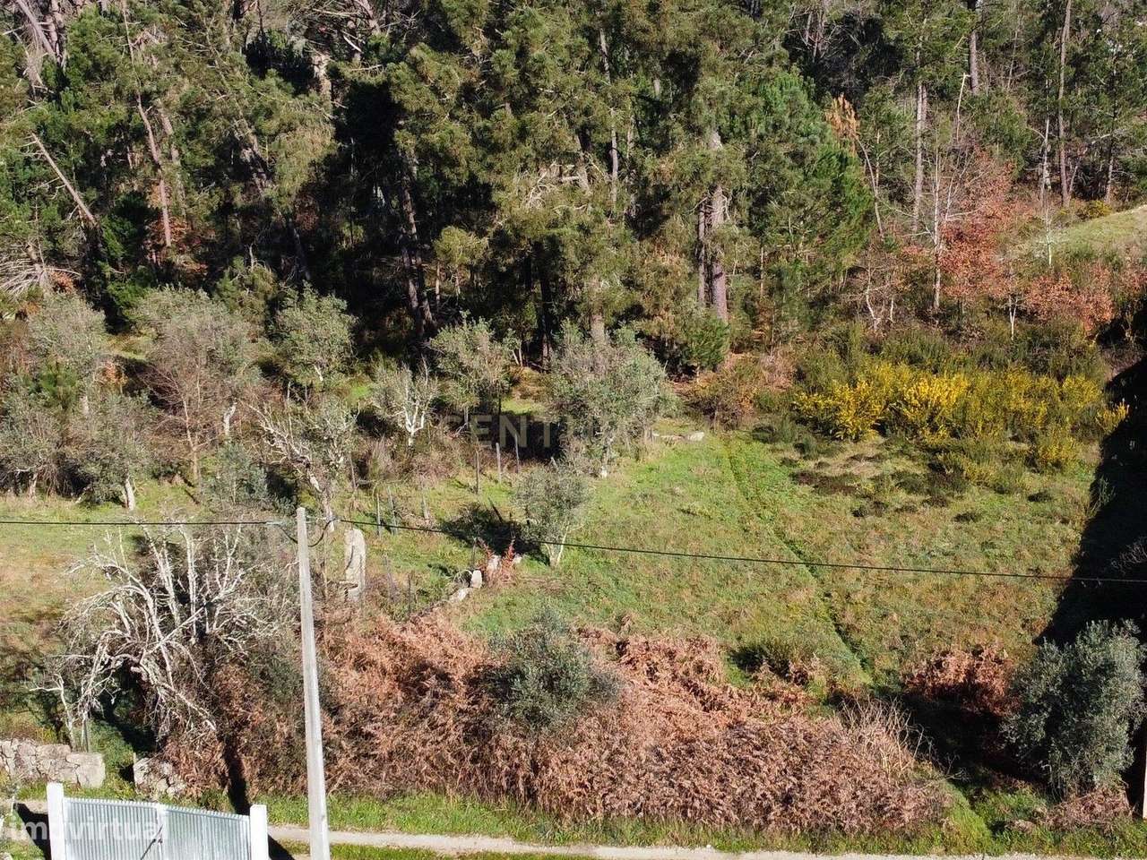 Terreno Rústico - Grande imagem: 4/5